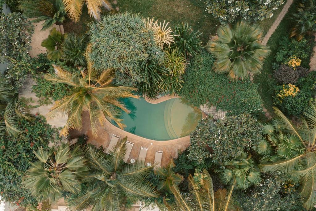 Banana House and Wellness Centre image 3